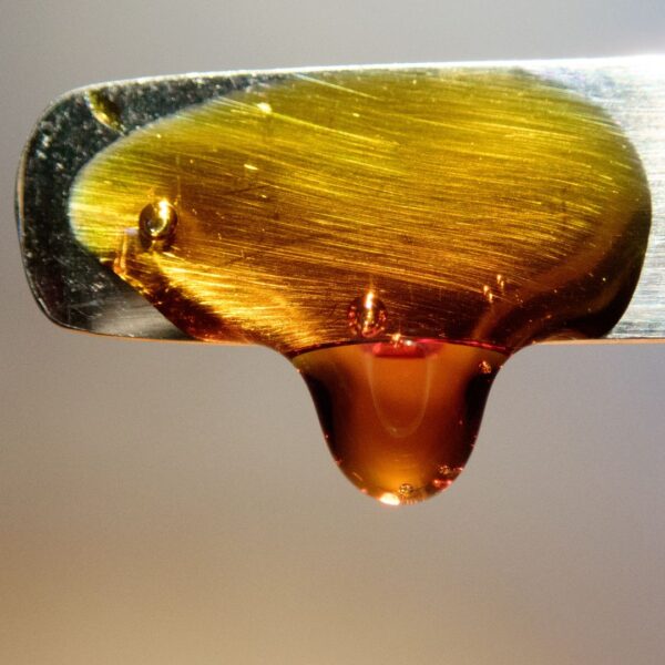 RSO on tip of tincture dropper