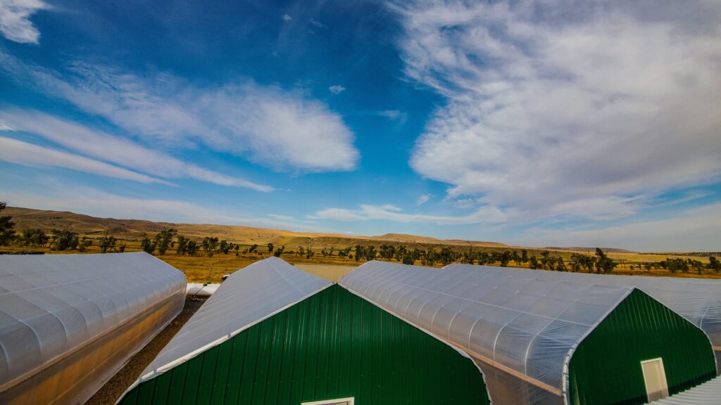 our montana greenhouses