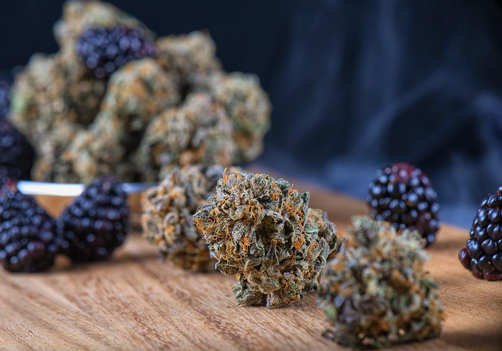 Wholesale PB Image 1