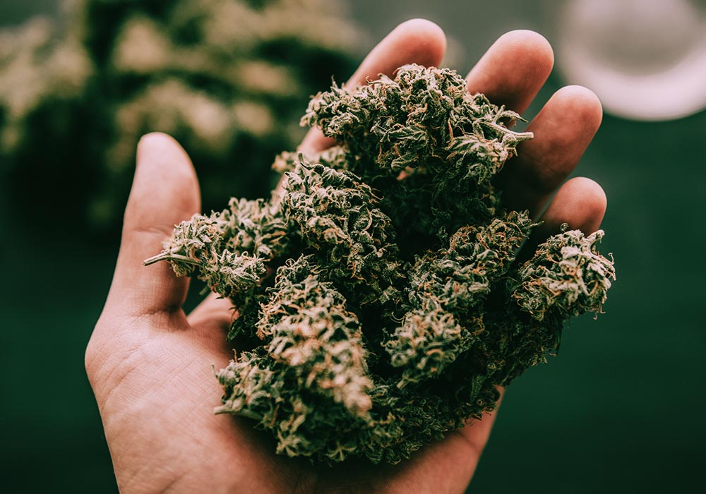 Wholesale PB Image 3