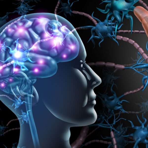 photo of brain receptors