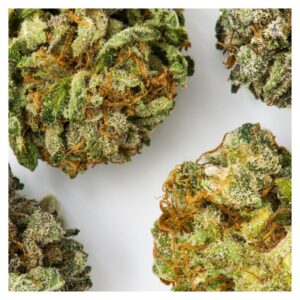 cannabis buds