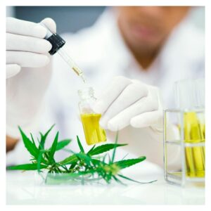 cannabis extract