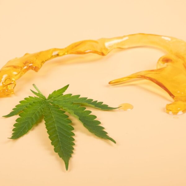 Marijuana Extraction 