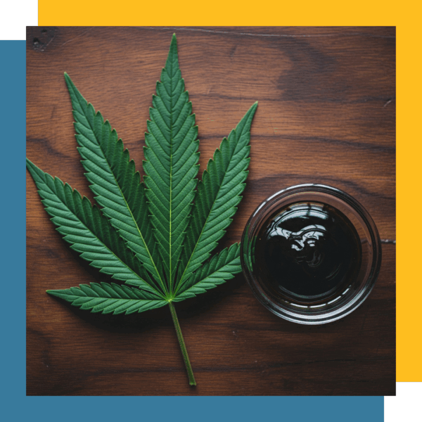 A green cannabis leaf next to a glass dish holding dark, full-spectrum RSO.