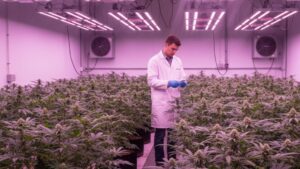 person in lab coat checking plants