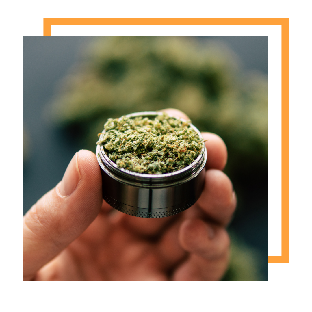 Grinded up marijuana