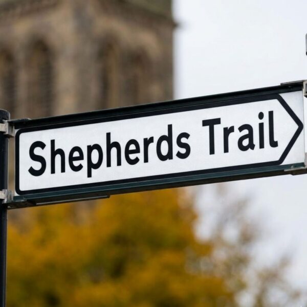 Close up of a street sign pointing to Shepherds Trail