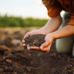 image of rich soil in a woman's hands